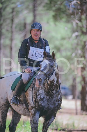 JJS_3378