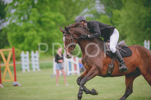 JJS_0549