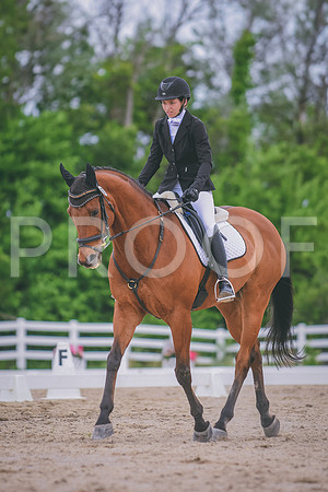 DSC_3575 copy