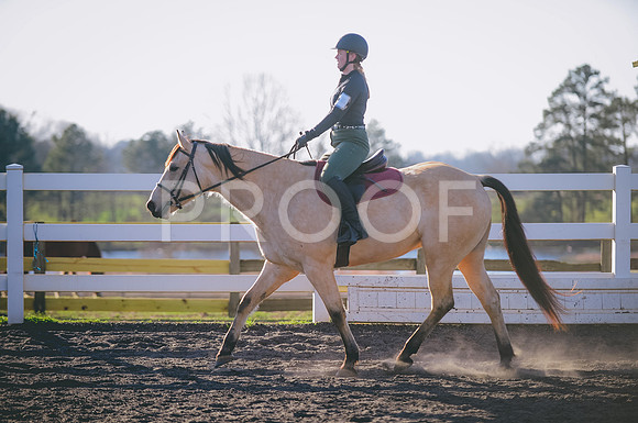 JJS_2838