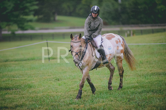 JJS_0095