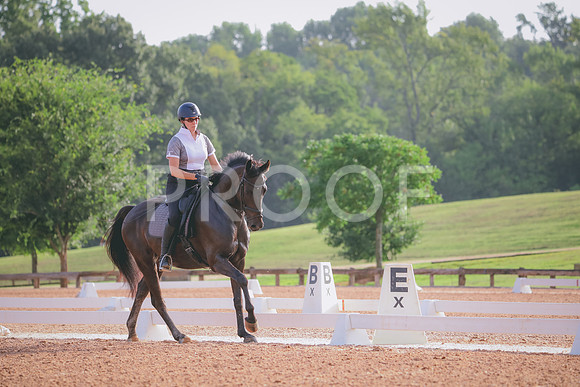RWP_4256
