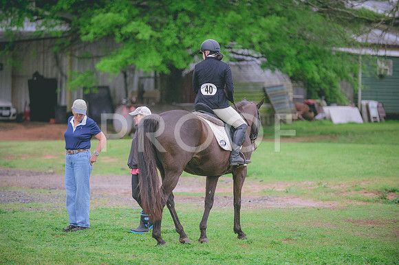 JJS_0379