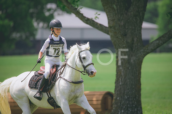 RWP_4163