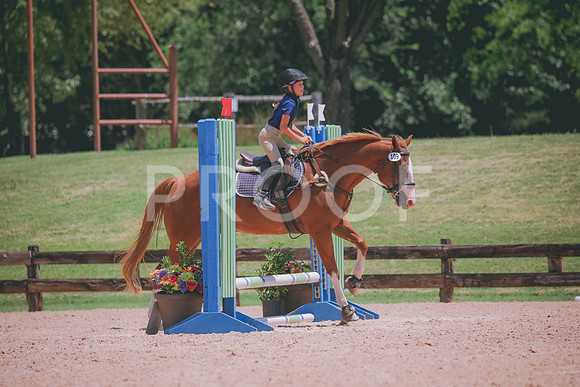 RWP_5906