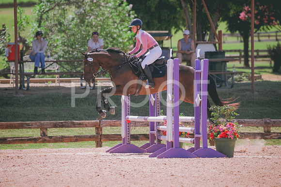 RWP_5313