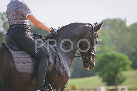 RWP_4236