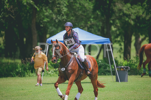 RWP_2924