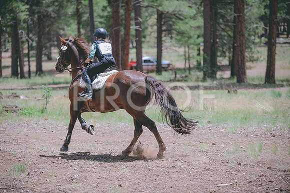 JJS_8132
