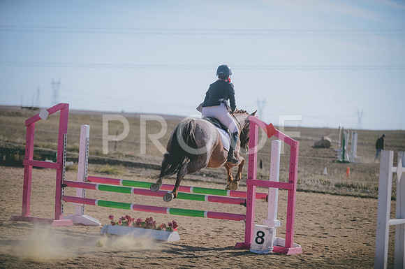 JJS_1451