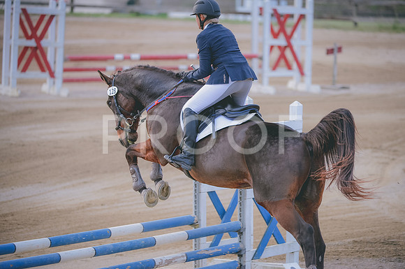 JJS_1620