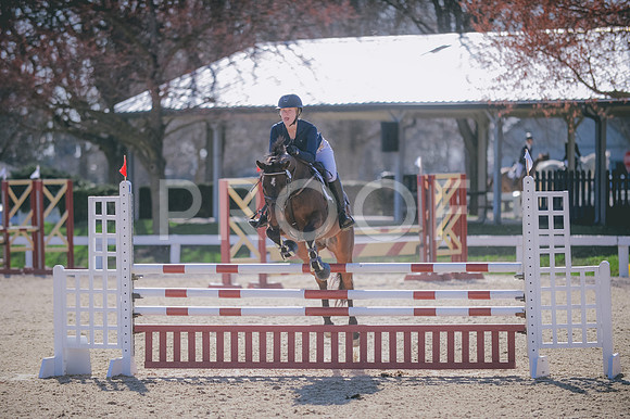 JJS_0646