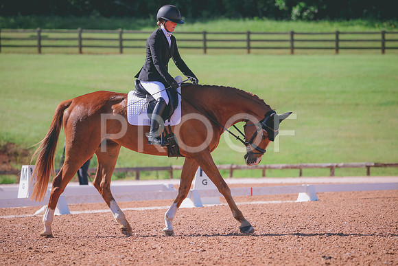 RWP_9637