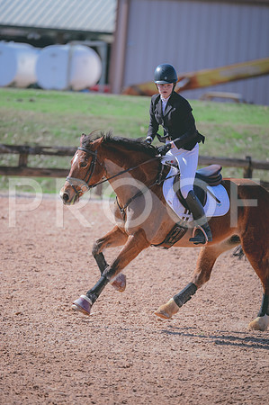 JJS_7751