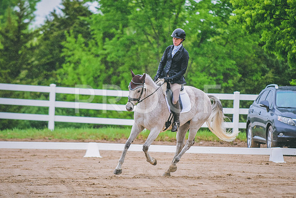 DSC_0453