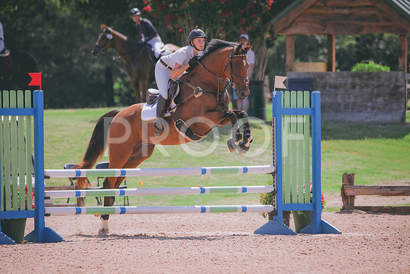 RWP_5276