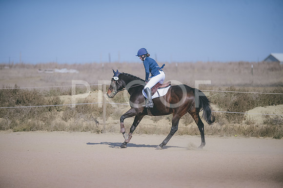 JJS_5799