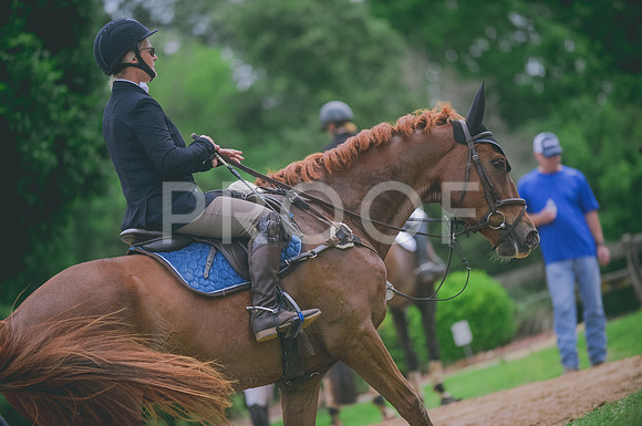 000_3233 copy