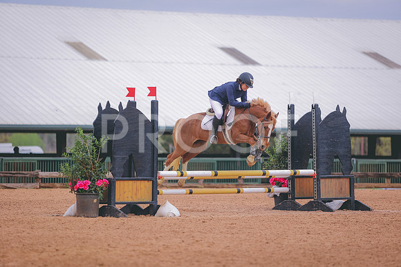 0N0A9741