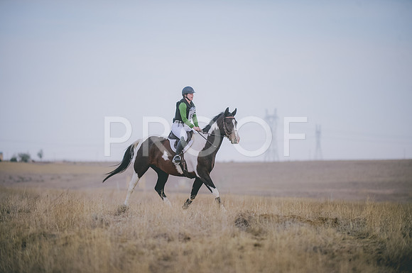 JJS_4194