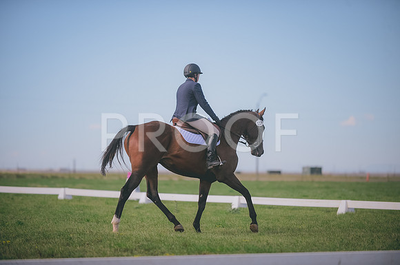 JJS_1642