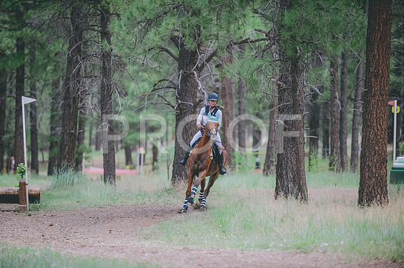 JJS_3018