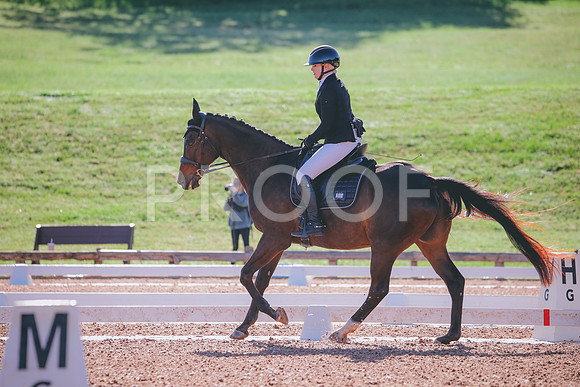 RWP_9316