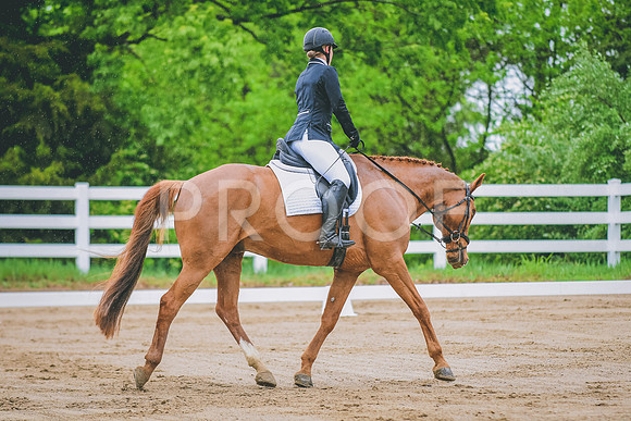 DSC_1172
