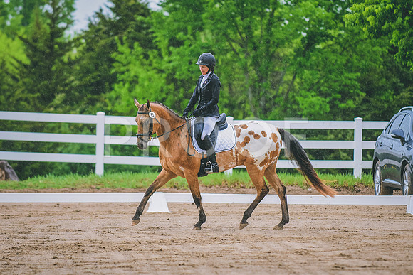 DSC_0861