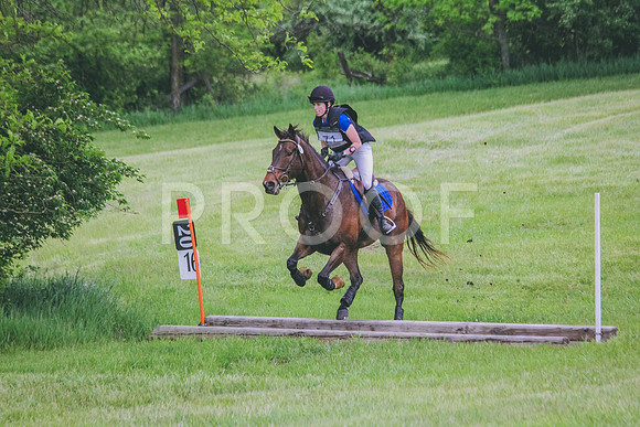 IMG_3100