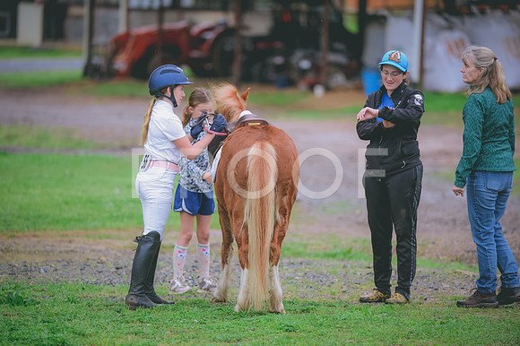 JJS_0965