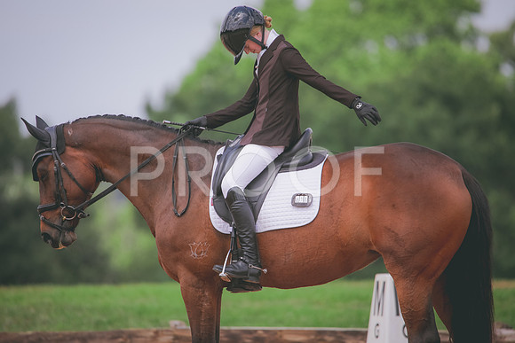 RWP_4538