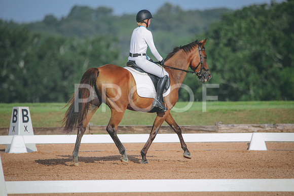 RWP_4463