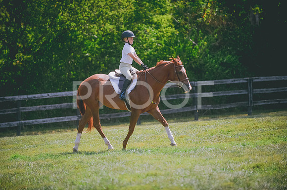 JJS_0084