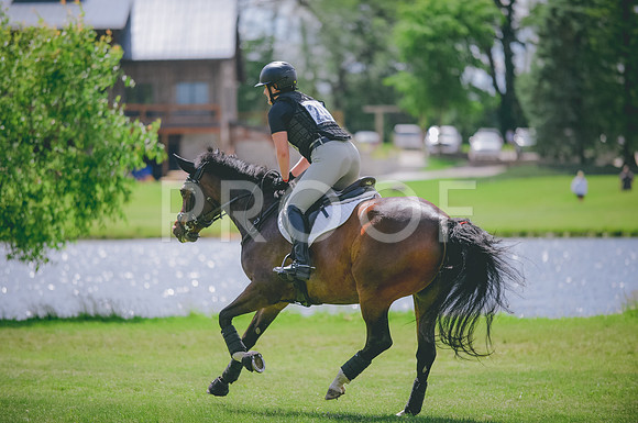 JJS_2594