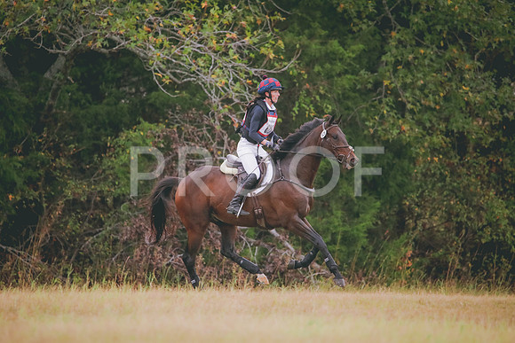 RWP_2843