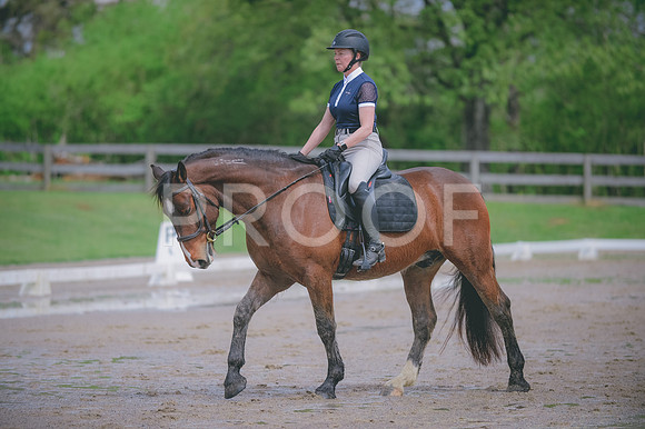 JJS_3842