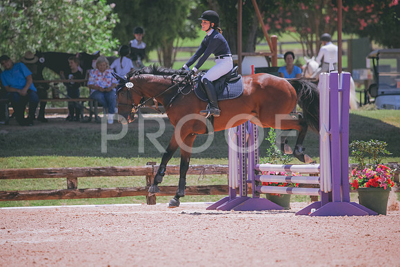 RWP_5648