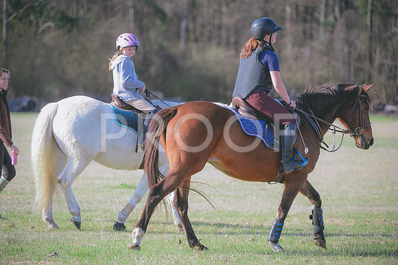 JJS_2867