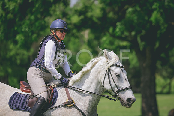 RWP_4571