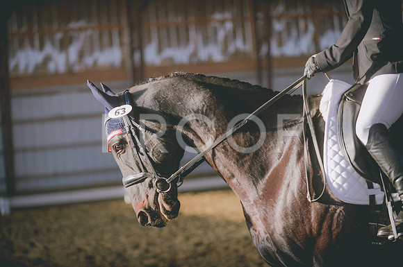 JJS_1303
