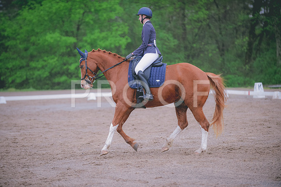 JJS_7688