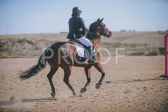JJS_2578