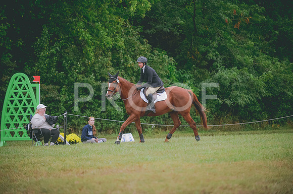 JJS_0590