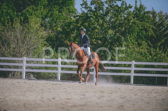 JJS_1376