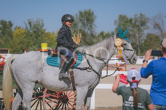 4HLJ9973