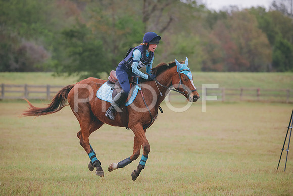 RWP_3628