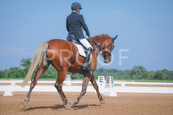 RWP_4007