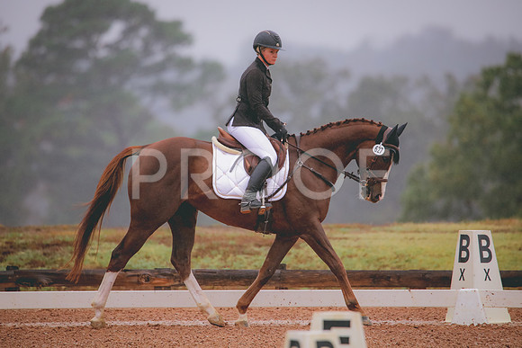 RWP_1022