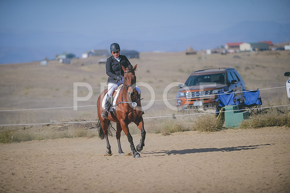 JJS_2534